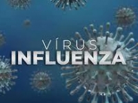Vacina Influenza - declaração vinculo